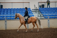 2019 Morgan Horse Show - Aug 30, 2019 - 22184