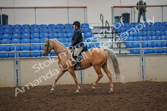 2019 Morgan Horse Show - Aug 30, 2019 - 22184