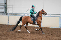 2020 - AB Morgan Horse - Fri, Sept 04 - 08685