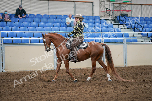 2020 - AB Morgan Horse - Sat, Sept 05 - 08898