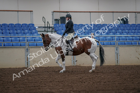 2019 Morgan Horse Show - Aug 30, 2019 - 14921