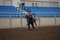 2019 Morgan Horse Show - Aug 31, 2019 - 00370