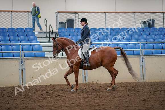 2019 Morgan Horse Show - Aug 30, 2019 - 22215