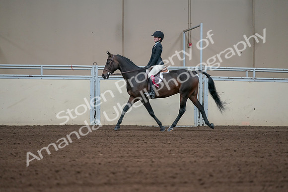 2019 Morgan Horse Show - Sept 01, 2019 - 03984