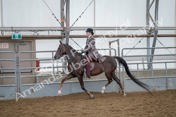 July 20, 2019 - 14633