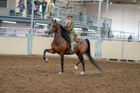 2020 - AB Morgan Horse - Sat, Sept 05 - 05274