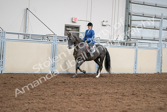 2020 - AB Morgan Horse - Sat, Sept 05 - 04984