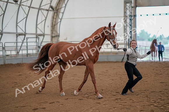 July 19, 2019 - 875