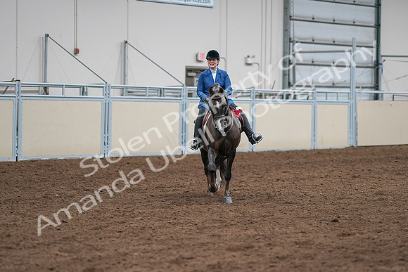 2020 - AB Morgan Horse - Sat, Sept 05 - 05243