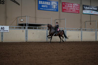 2019 Morgan Horse Show - Aug 30, 2019 - 28292