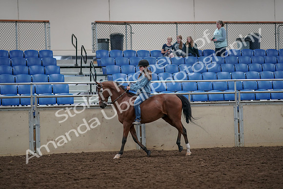 2019 Morgan Horse Show - Aug 30, 2019 - 31311