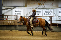 Rein - Fence/Box - Non Pro Futurity
