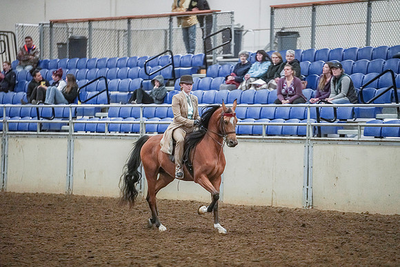 Spring Fling - Saturday - April 20, 2019  -  03938