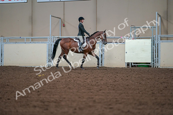 2019 Morgan Horse Show - Aug 30, 2019 - 20854