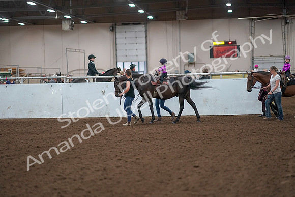 2019 Morgan Horse Show - Aug 31, 2019 - 18891