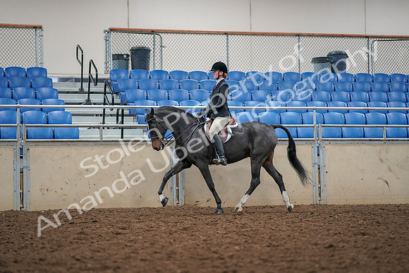 2019 Morgan Horse Show - Aug 30, 2019 - 23282