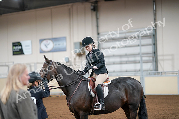 2020 - AB Morgan Horse - Fri, Sept 04 - 02090