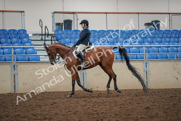 2019 Morgan Horse Show - Aug 30, 2019 - 22353
