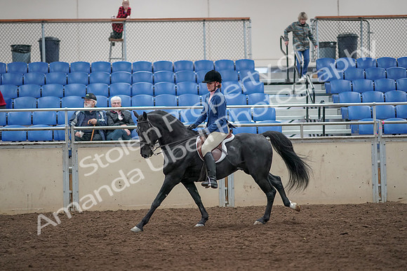2019 Morgan Horse Show - Aug 31, 2019 - 07355