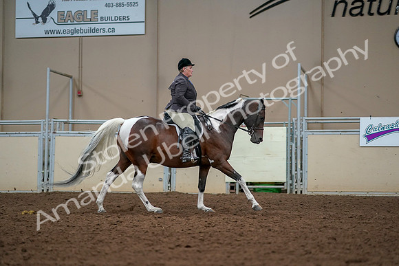 2019 Morgan Horse Show - Aug 30, 2019 - 22585