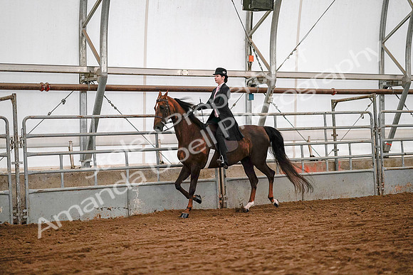 July 19, 2019 - 8913