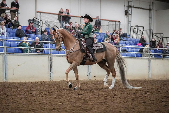 Spring Fling - Saturday - April 20, 2019  -  03991