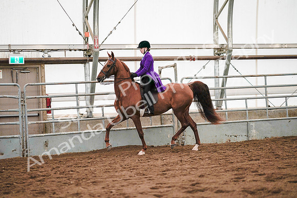 July 20, 2019 - 21583