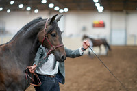 2020 - AB Morgan Horse - Sat, Sept 05 - 00252