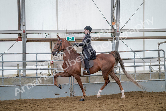July 20, 2019 - 14622