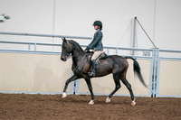 2020 - AB Morgan Horse - Sat, Sept 05 - 09067
