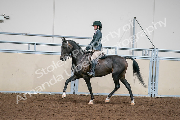 2020 - AB Morgan Horse - Sat, Sept 05 - 09067