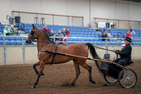 2019 Morgan Horse Show - Aug 30, 2019 - 13028