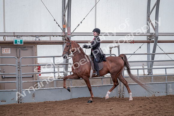 July 20, 2019 - 14372