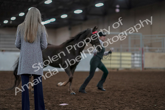 2019 Morgan Horse Show - Aug 31, 2019 - 01892