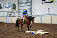 2020 - AB Morgan Horse - Fri, Sept 04 - 00221