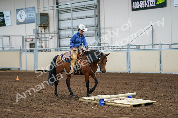 2020 - AB Morgan Horse - Fri, Sept 04 - 00221