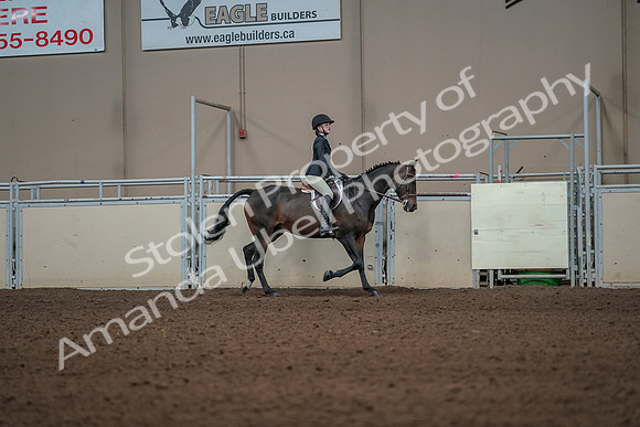 2019 Morgan Horse Show - Aug 31, 2019 - 05152