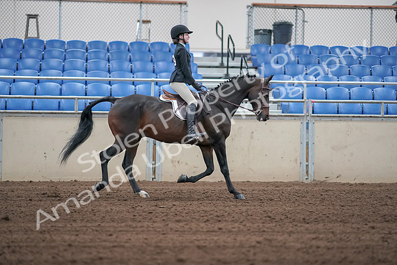 2019 Morgan Horse Show - Sept 01, 2019 - 03836