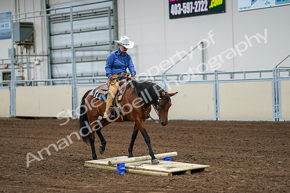 2020 - AB Morgan Horse - Fri, Sept 04 - 00235