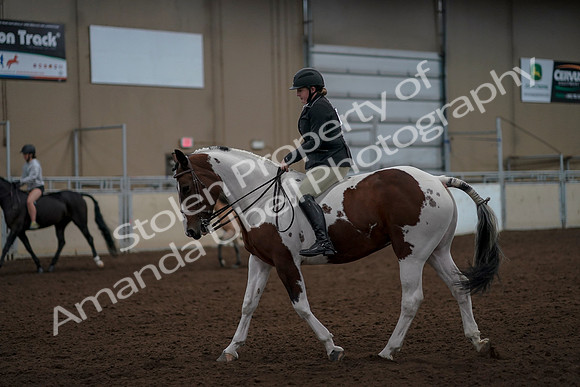 2019 Morgan Horse Show - Aug 30, 2019 - 31157