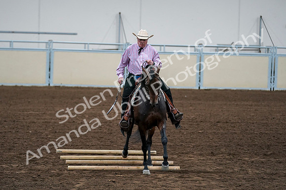 2020 - AB Morgan Horse - Fri, Sept 04 - 00583