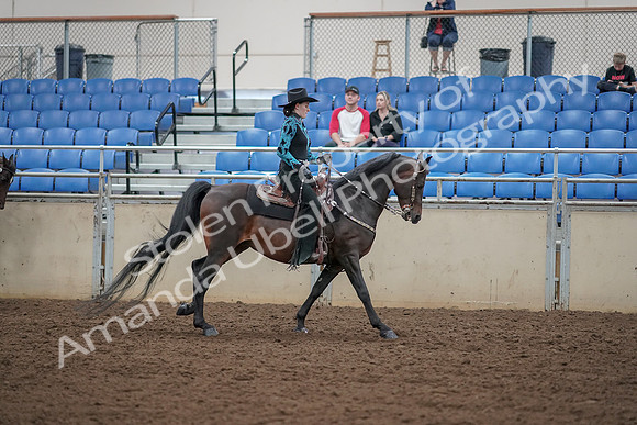 2019 Morgan Horse Show - Aug 30, 2019 - 26175