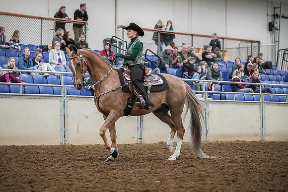 Spring Fling - Saturday - April 20, 2019  -  03995