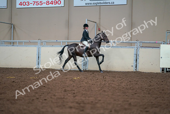 2019 Morgan Horse Show - Aug 30, 2019 - 21069