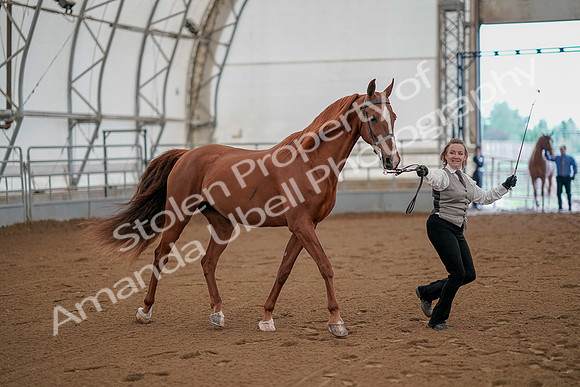 July 19, 2019 - 874