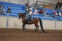 2020 - AB Morgan Horse - Sun, Sept 06 - 07463