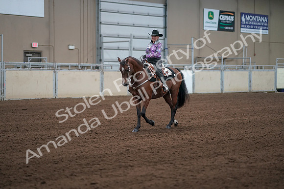 2019 Morgan Horse Show - Sept 01, 2019 - 07200