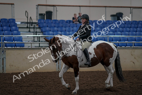 2019 Morgan Horse Show - Aug 30, 2019 - 31201