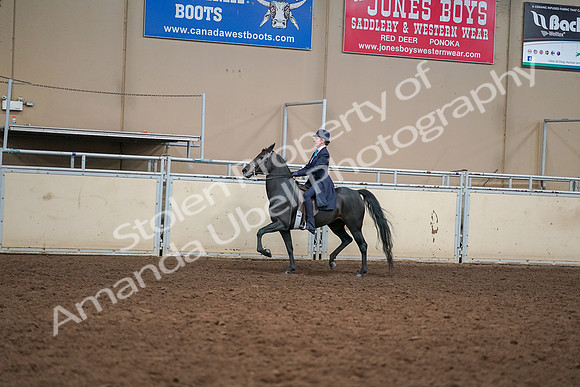 2019 Morgan Horse Show - Aug 30, 2019 - 12223