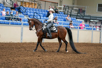 2020 - AB Morgan Horse - Sat, Sept 05 - 08876